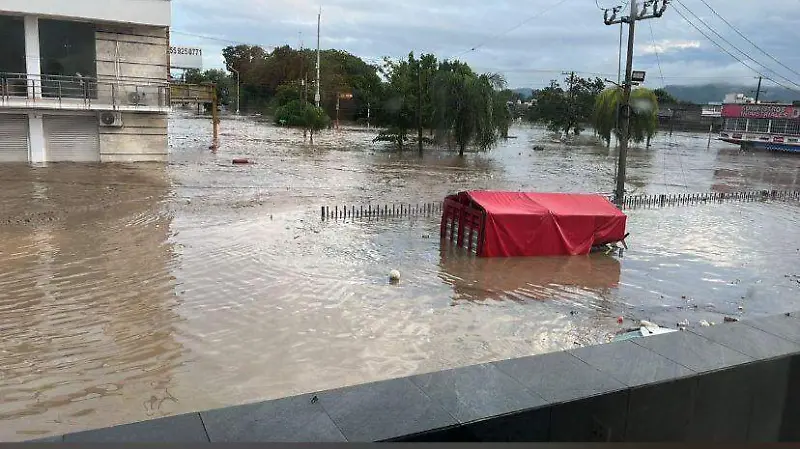 Colonia la floresta 